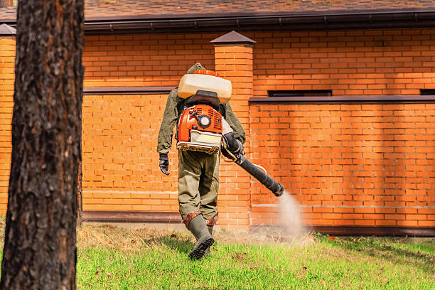 Bed Bug Clearance Verification and Documentation in Northlake